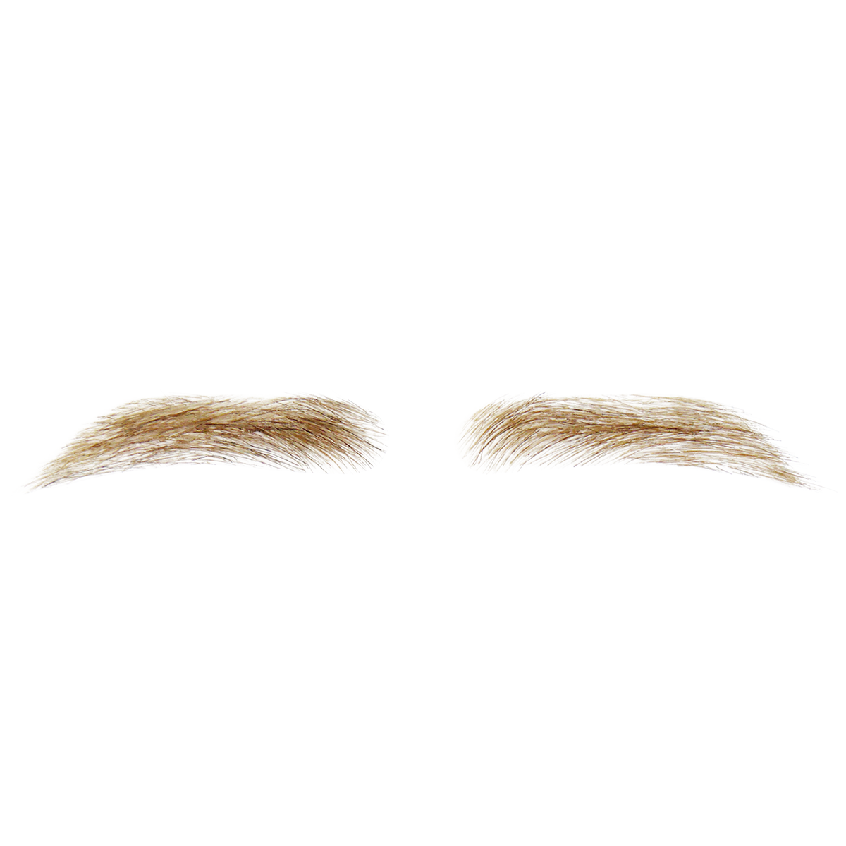 Sourcils pour hommes - Blond moyen